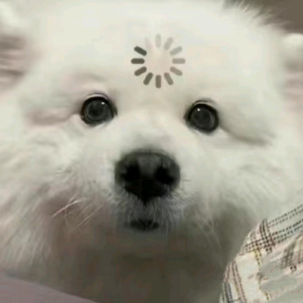 敦哩个敦