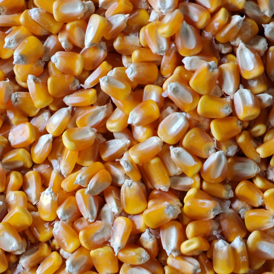 粮心助农（助力三农）