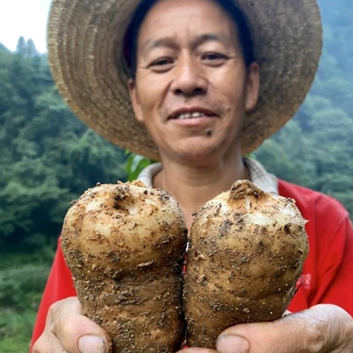 天麻优选农产品