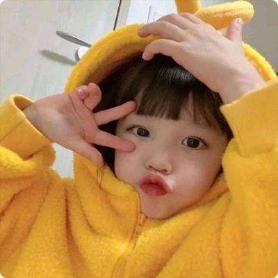 竹影清欢好物