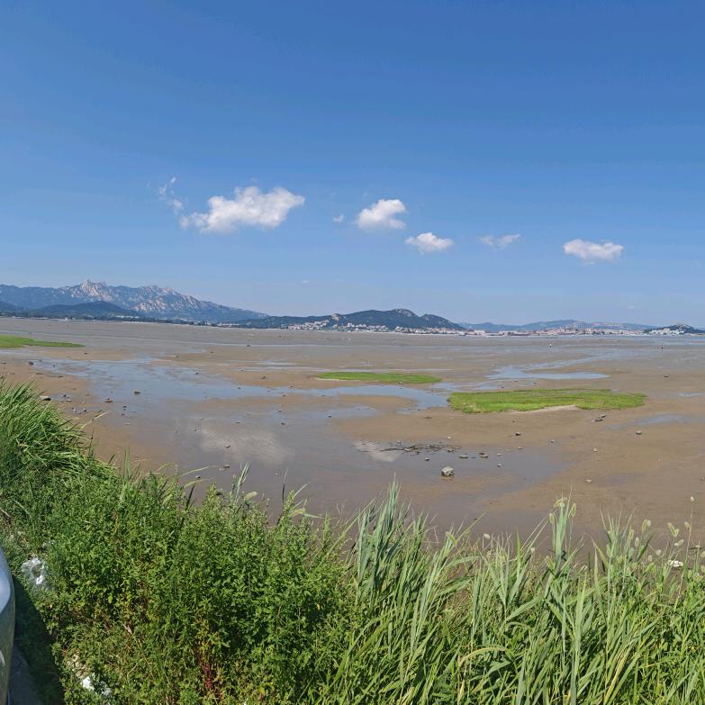 激流勇进