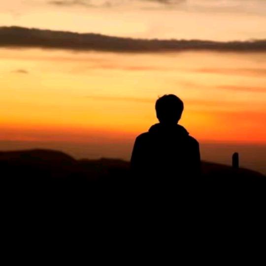 梦动微武直播号