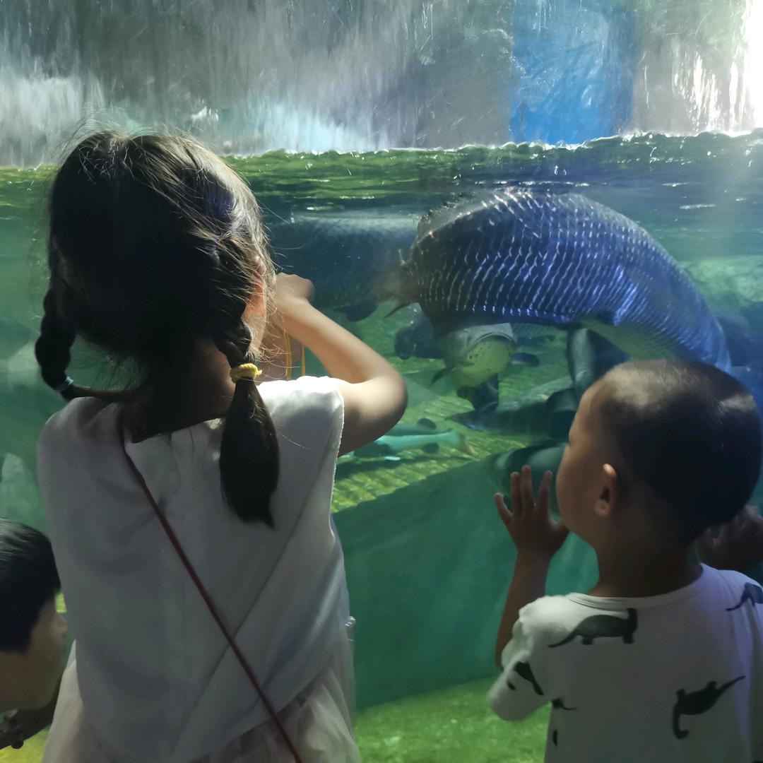 家有俩娃且肥的婆