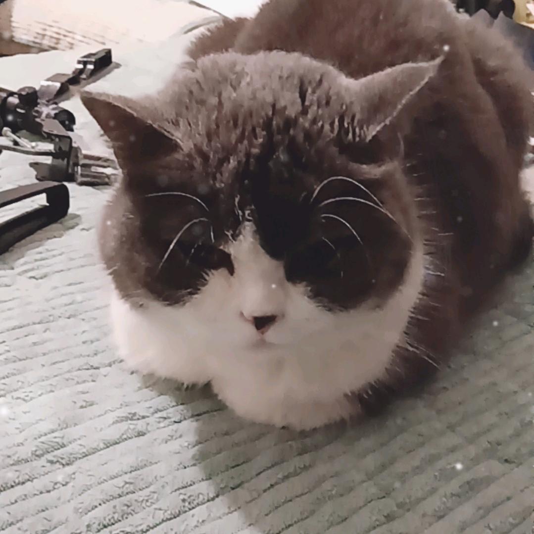 冬天吃冰激凌