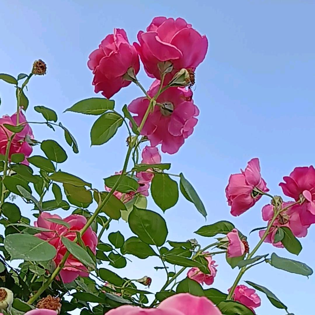 往后余生