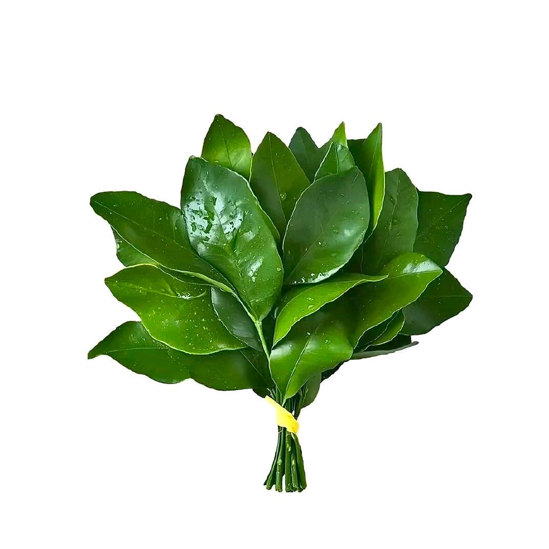 💞小张