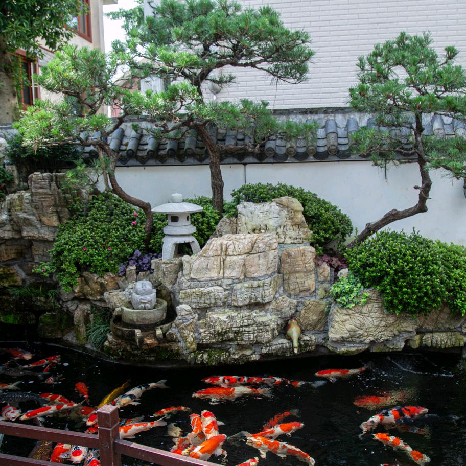 细哥造园，专注私家庭院