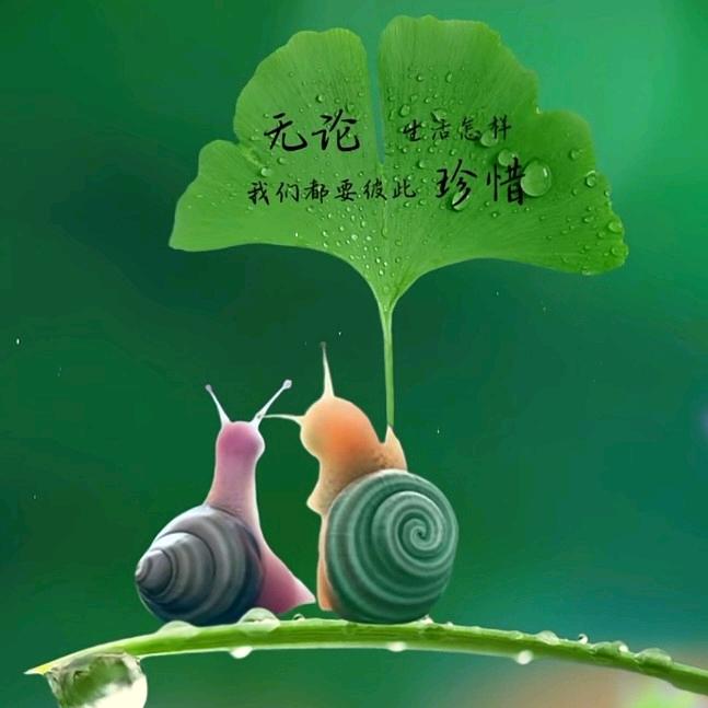冷漠
