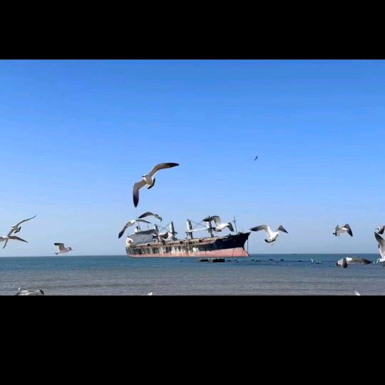 投石问路。