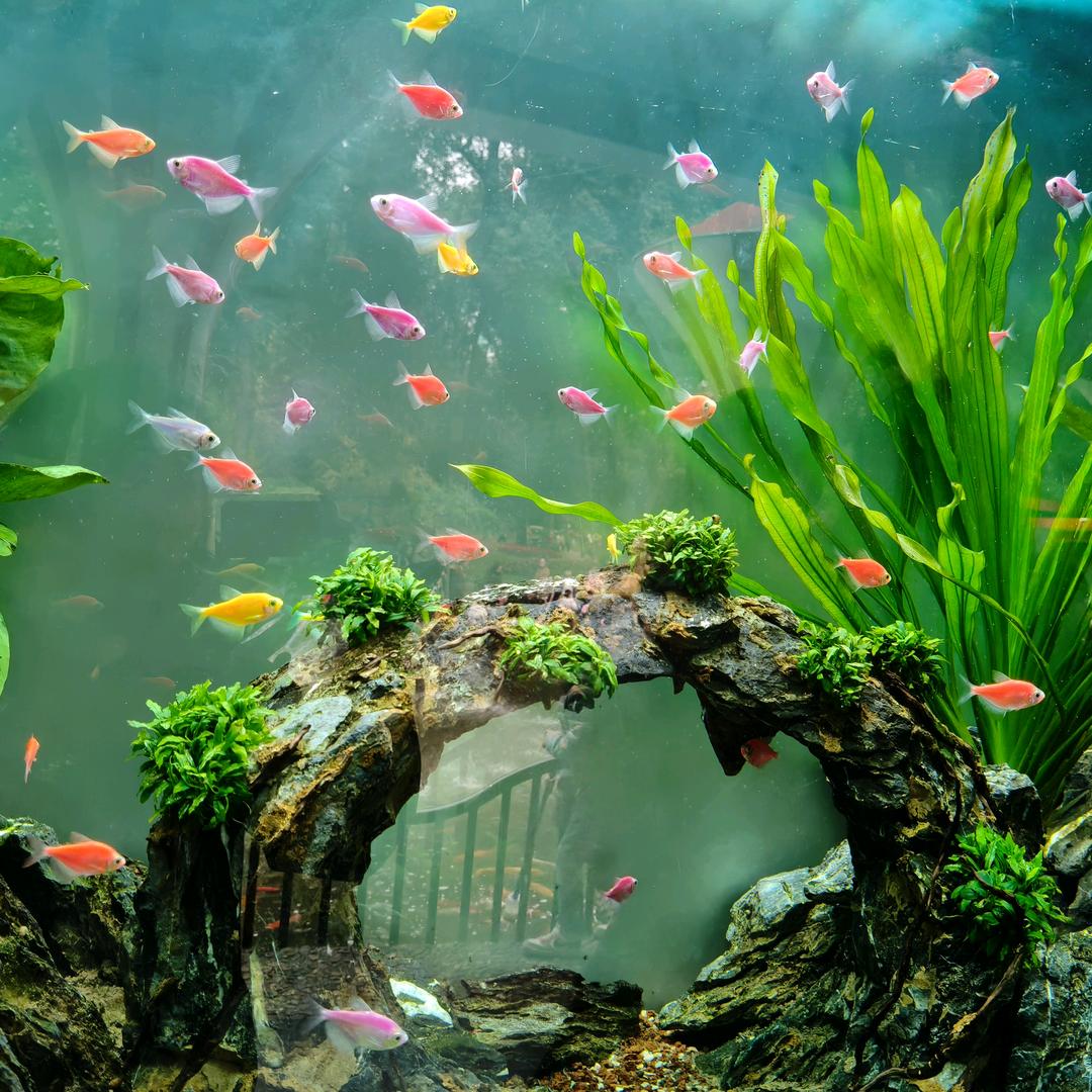 : 🦋᭄ᝰ幸运🌻๑^o^๑