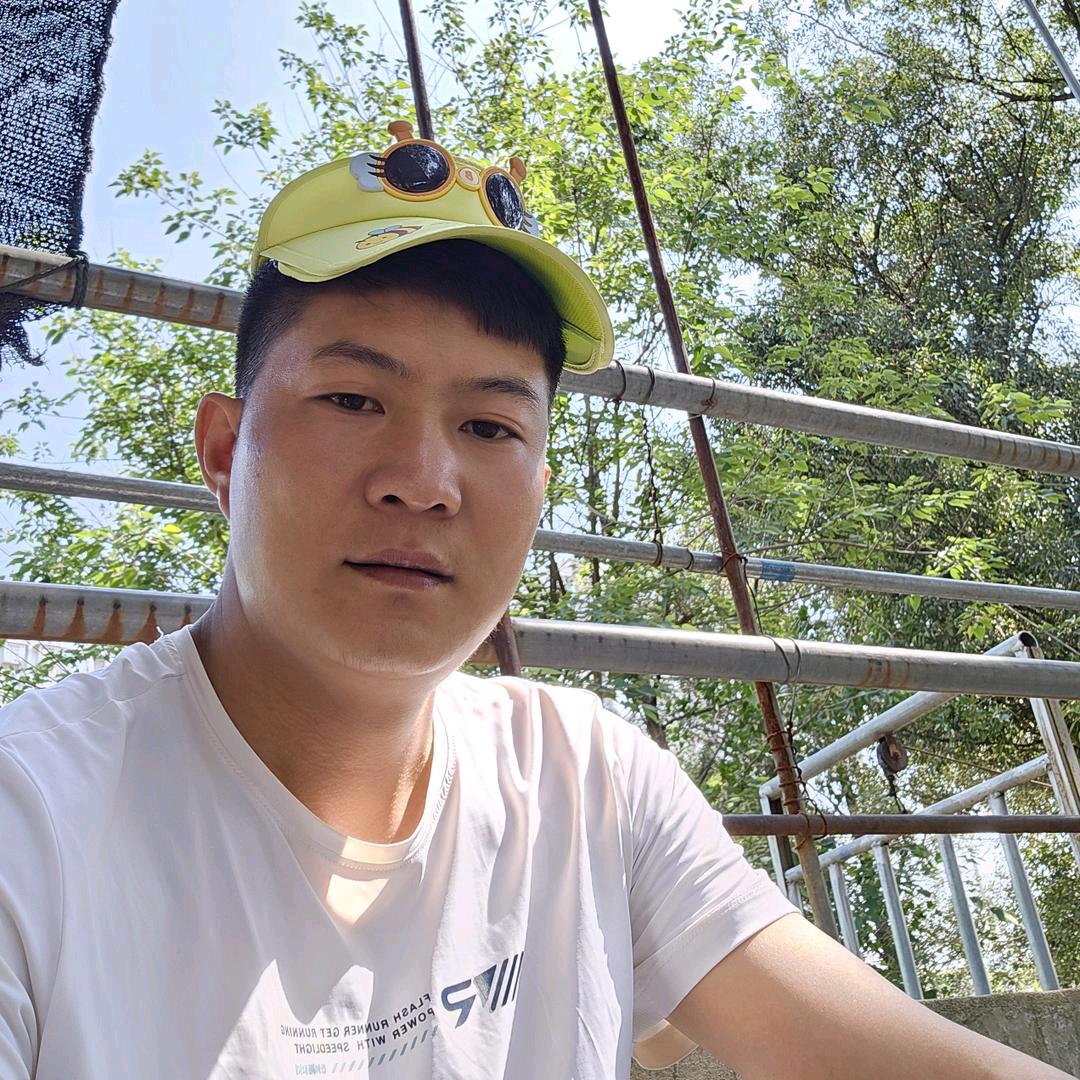 杨枫