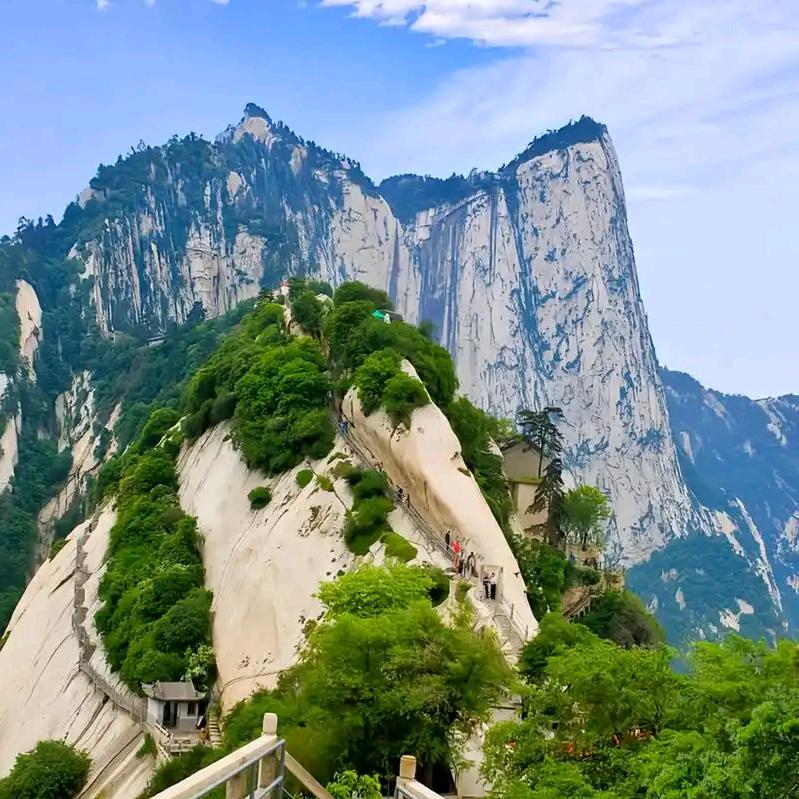 文通武达