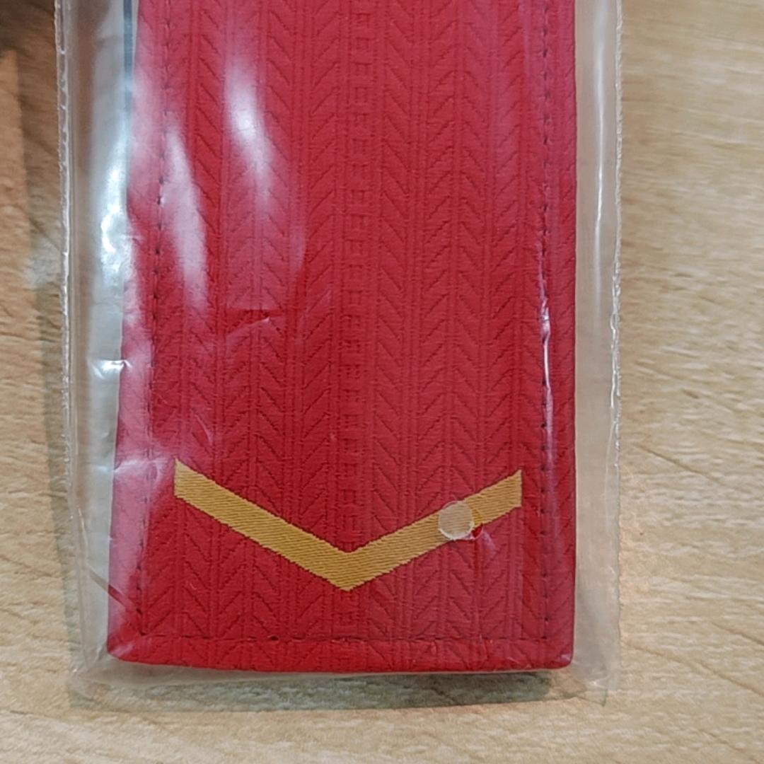 二沙岛主