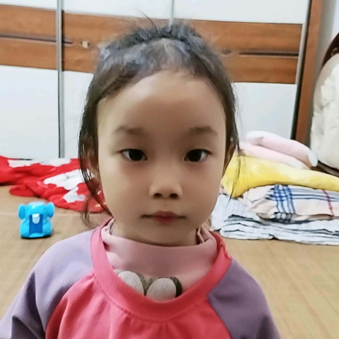 图纸