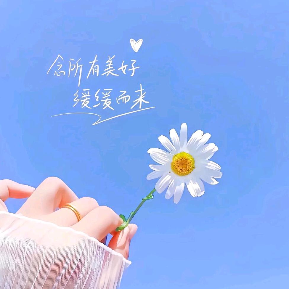 未来 可期