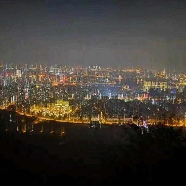 一生无悔