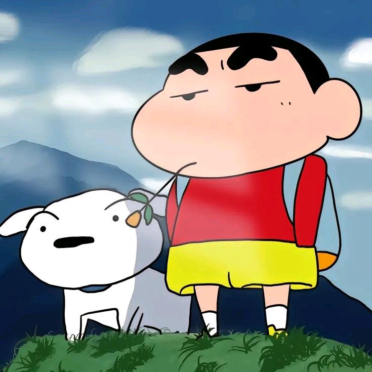 小星与你