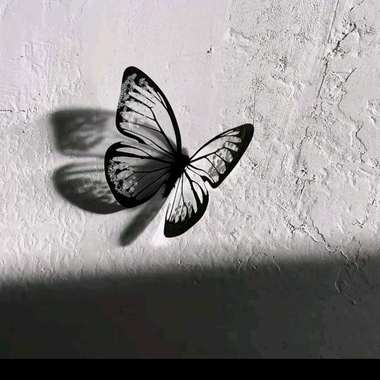 ღ᭄㞮孞💞ꦿ᭄