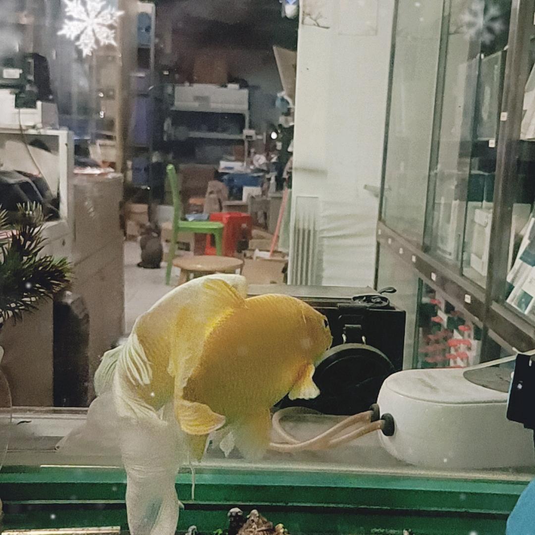 龙熙数码刘楚钊