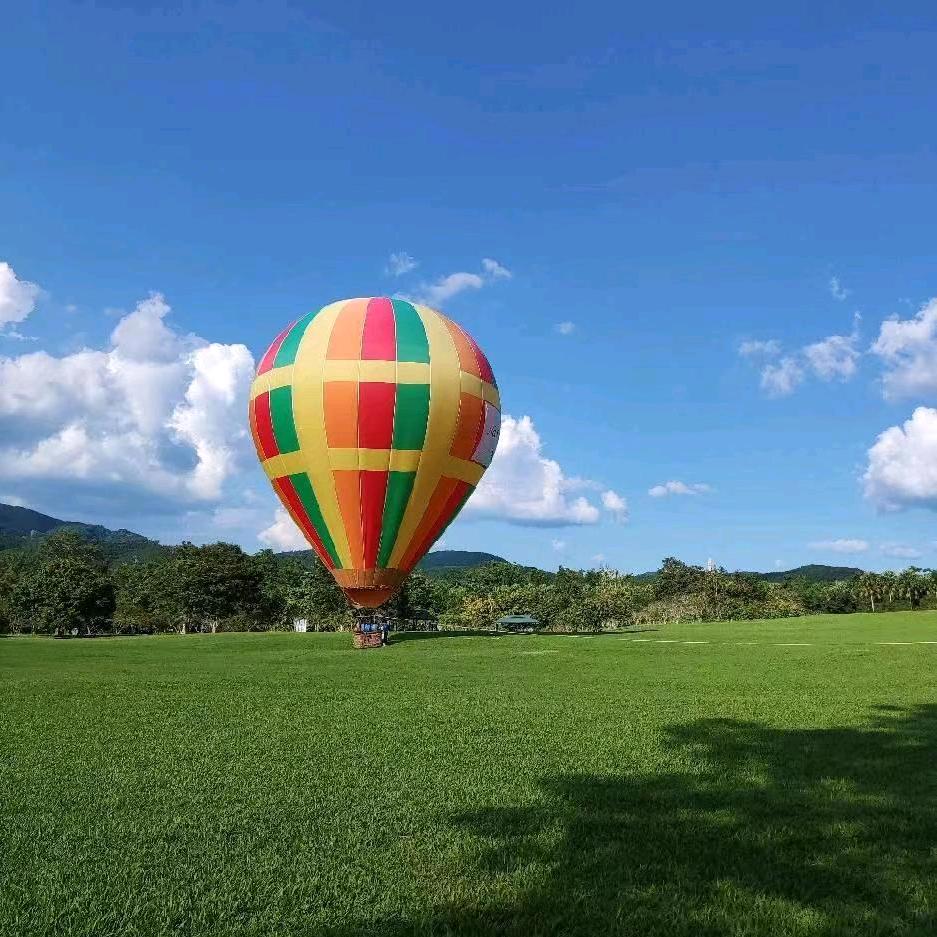 张上仙