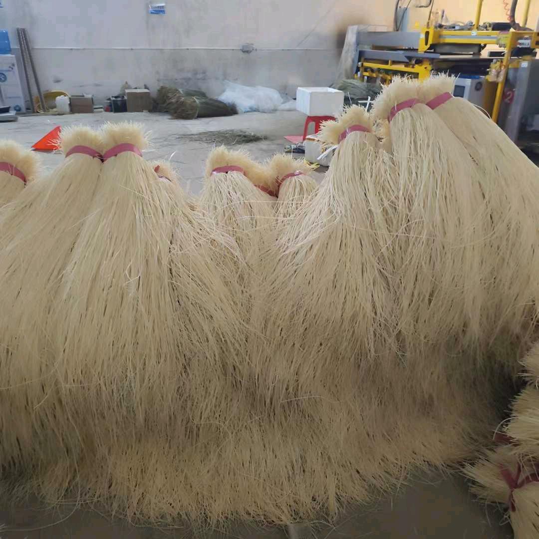 荣山灯芯草批发