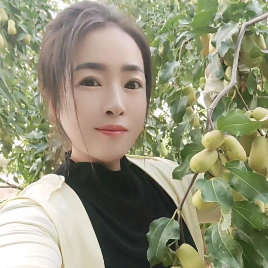 新疆和田种大枣小郝