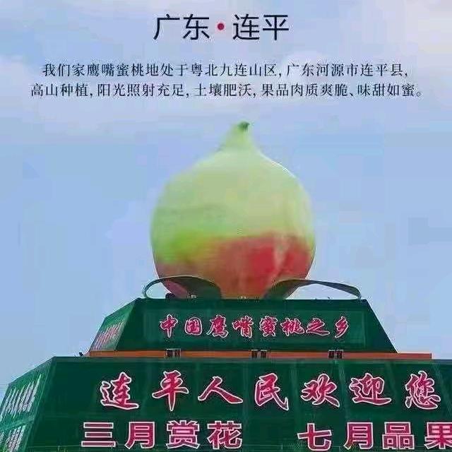 吴