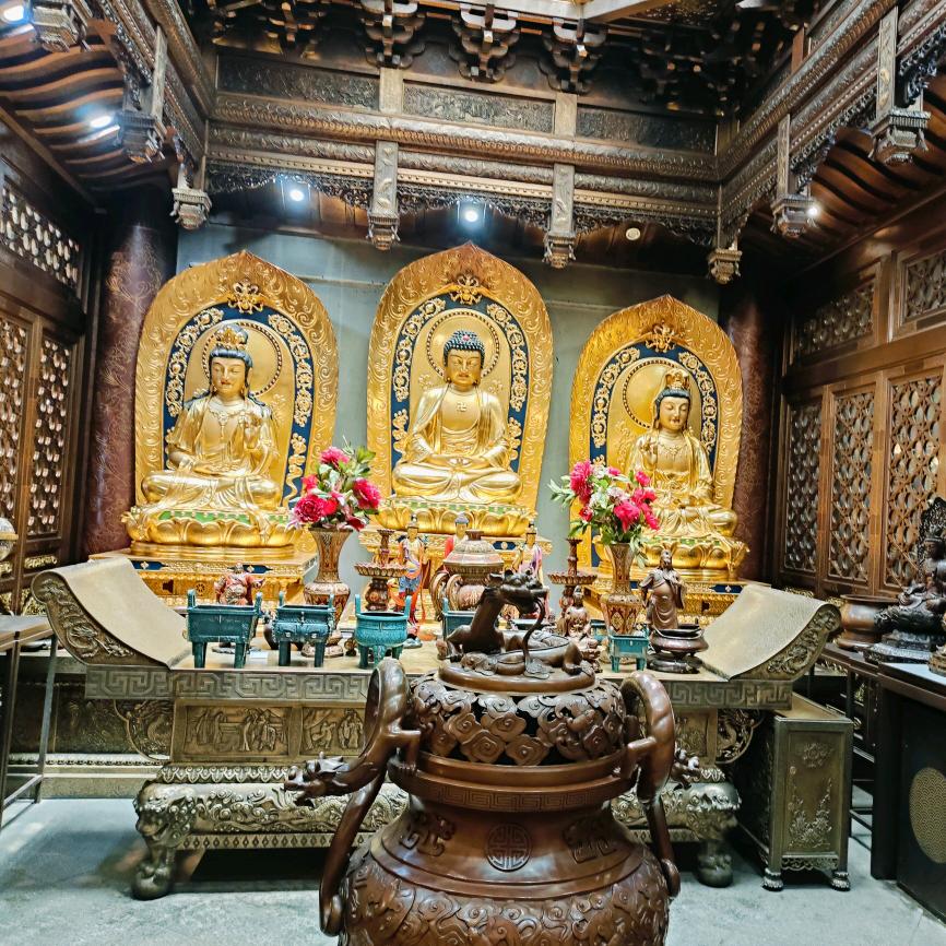 未来૧(●´৺`●)૭可期