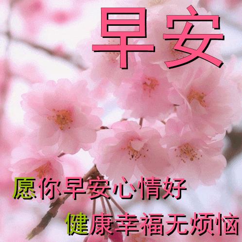 静•舍