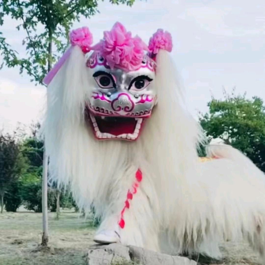 焦作博爱小白狮舞狮团（全国接单）