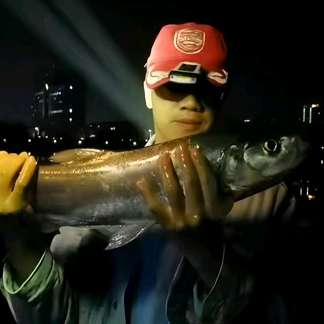 游钓江南🎣渔具测评