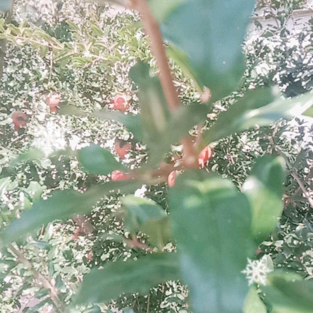 用户3046259880323