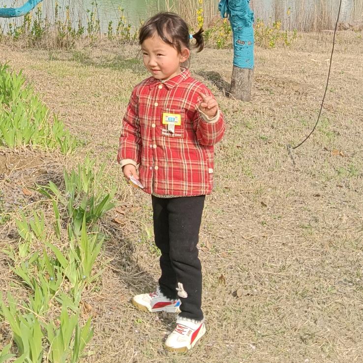 谁要芋头，如果有人要芋头没