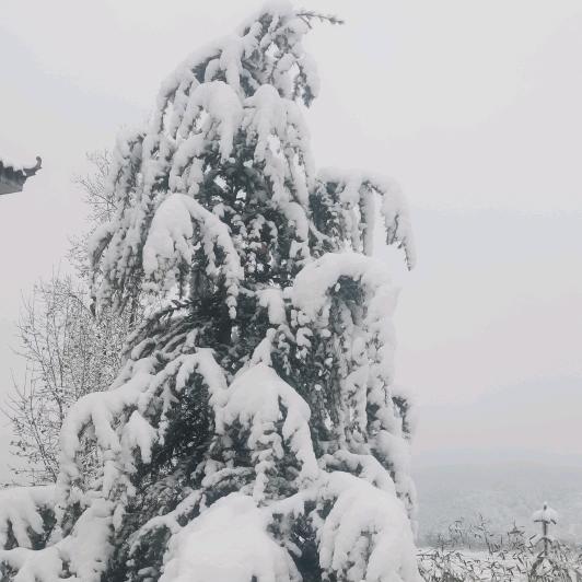 时光✔