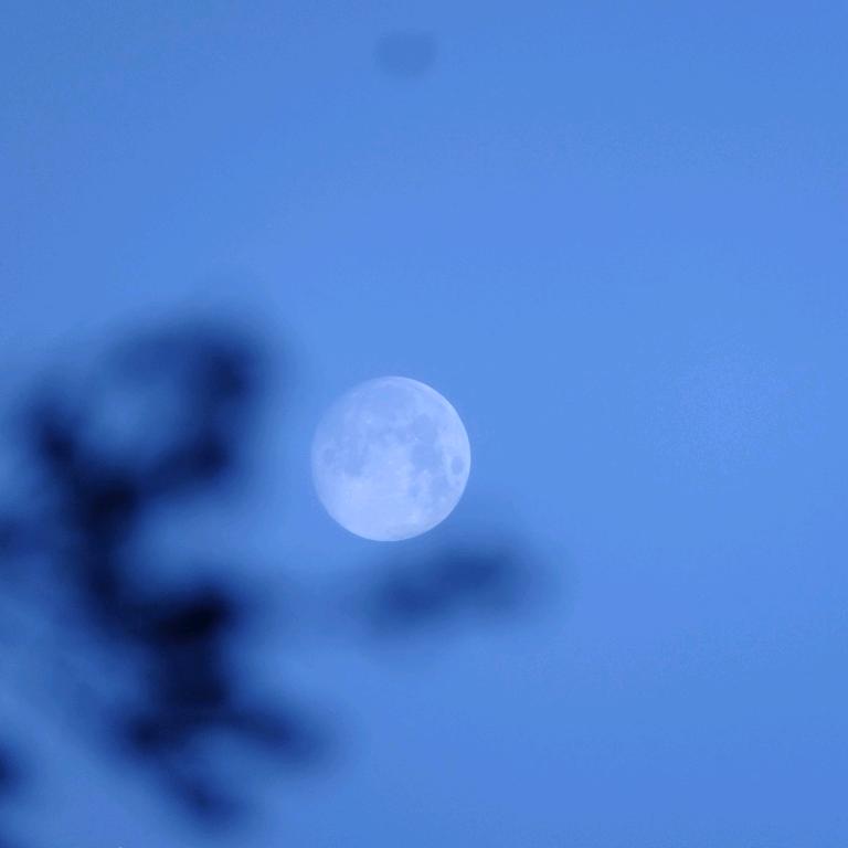 🌈橱窗好物ꦿ້໌ᮨ₁₃᭄¹⁴