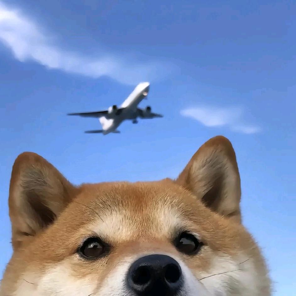 暂无