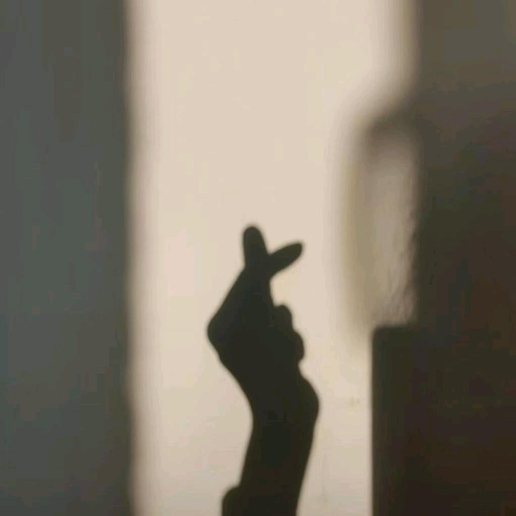 ✨⭐⭐