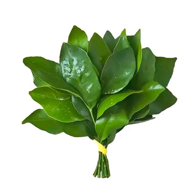 小肚子.
