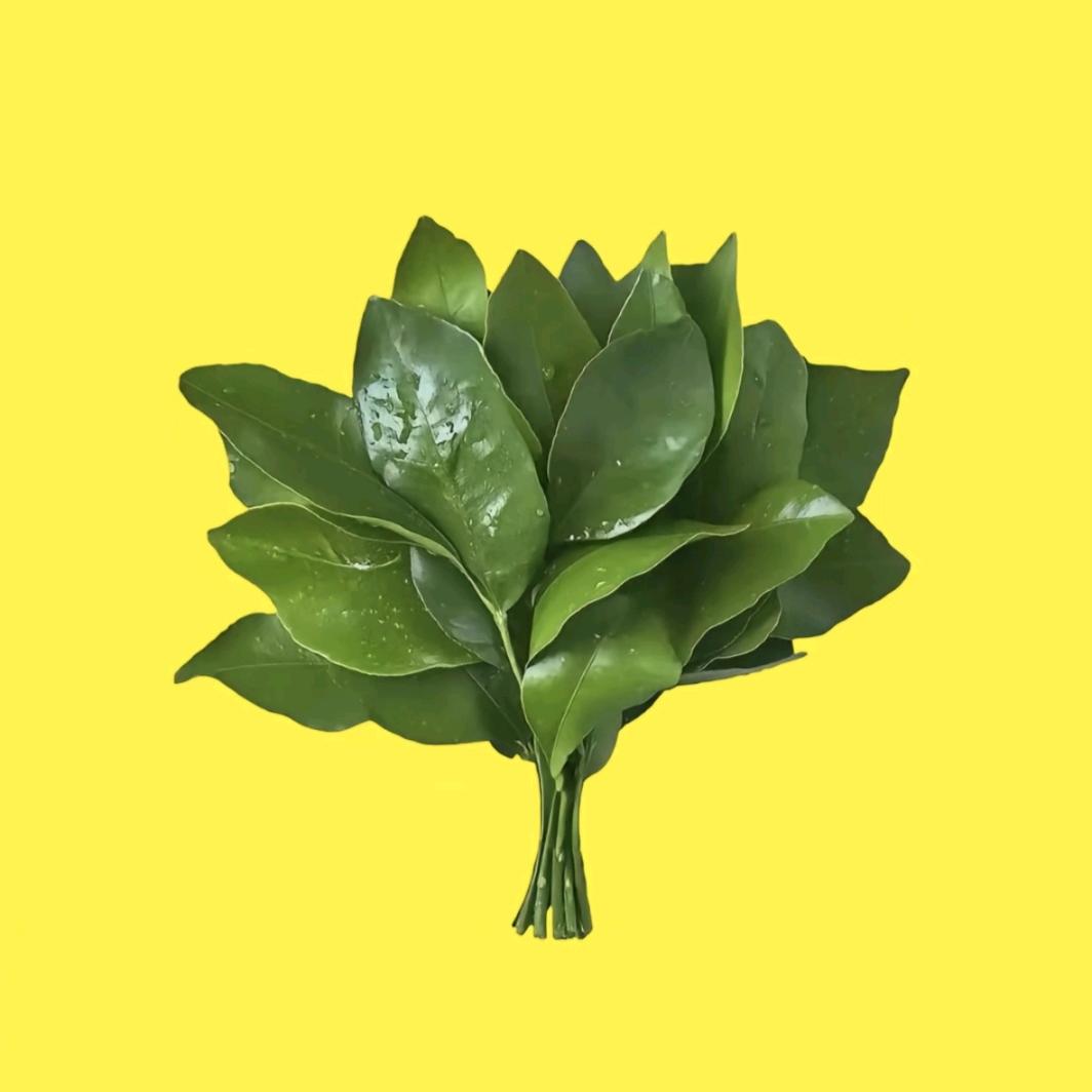 和你.