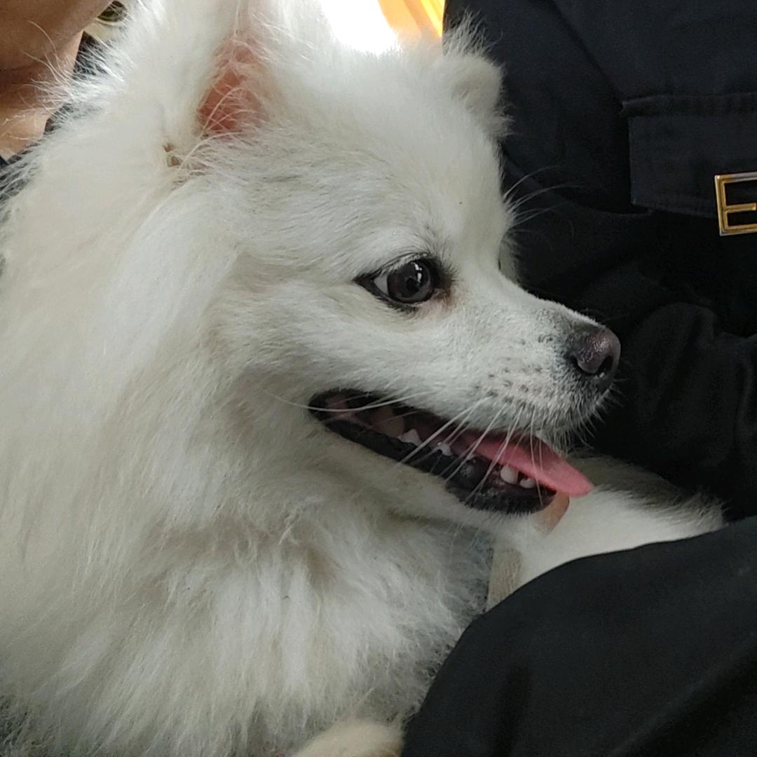 哈哈
