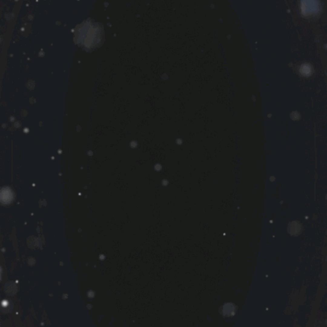 : ꧁㣻꧔ꦿ℘罖᭄ᩚ꯭ᩚ