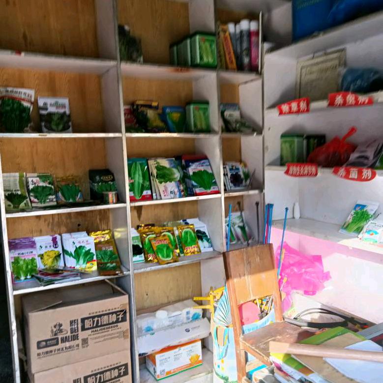 全民K歌搬抖音正米。