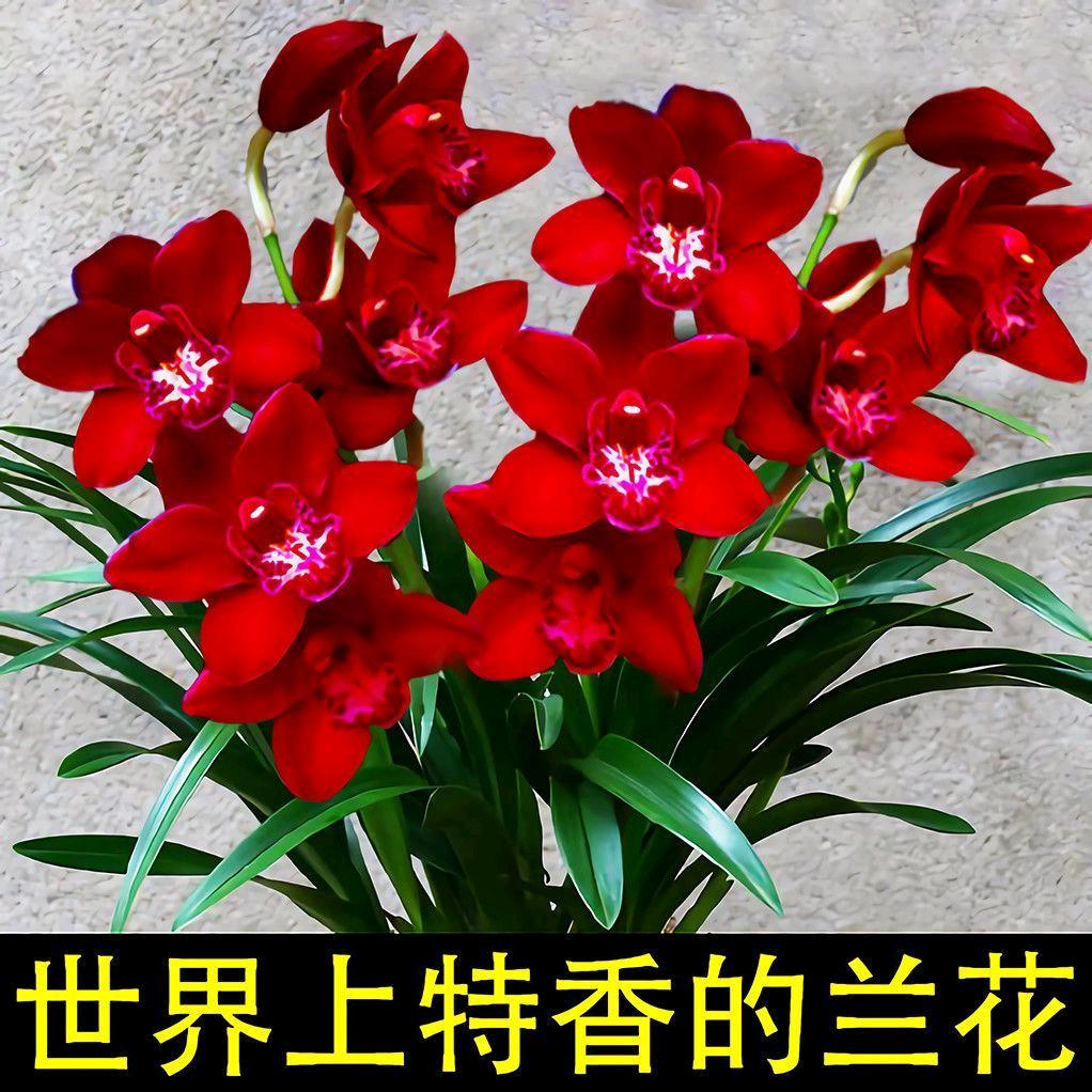 天天高兴