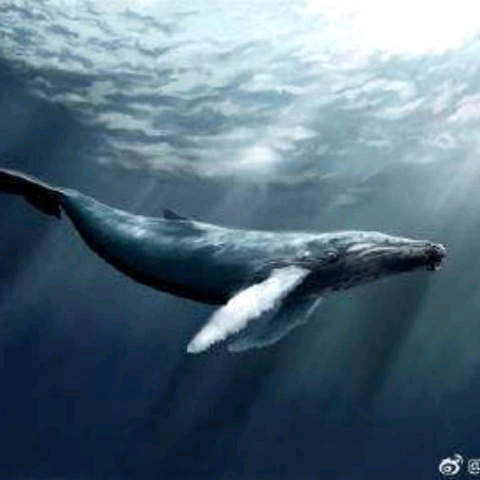 暗淡蓝点