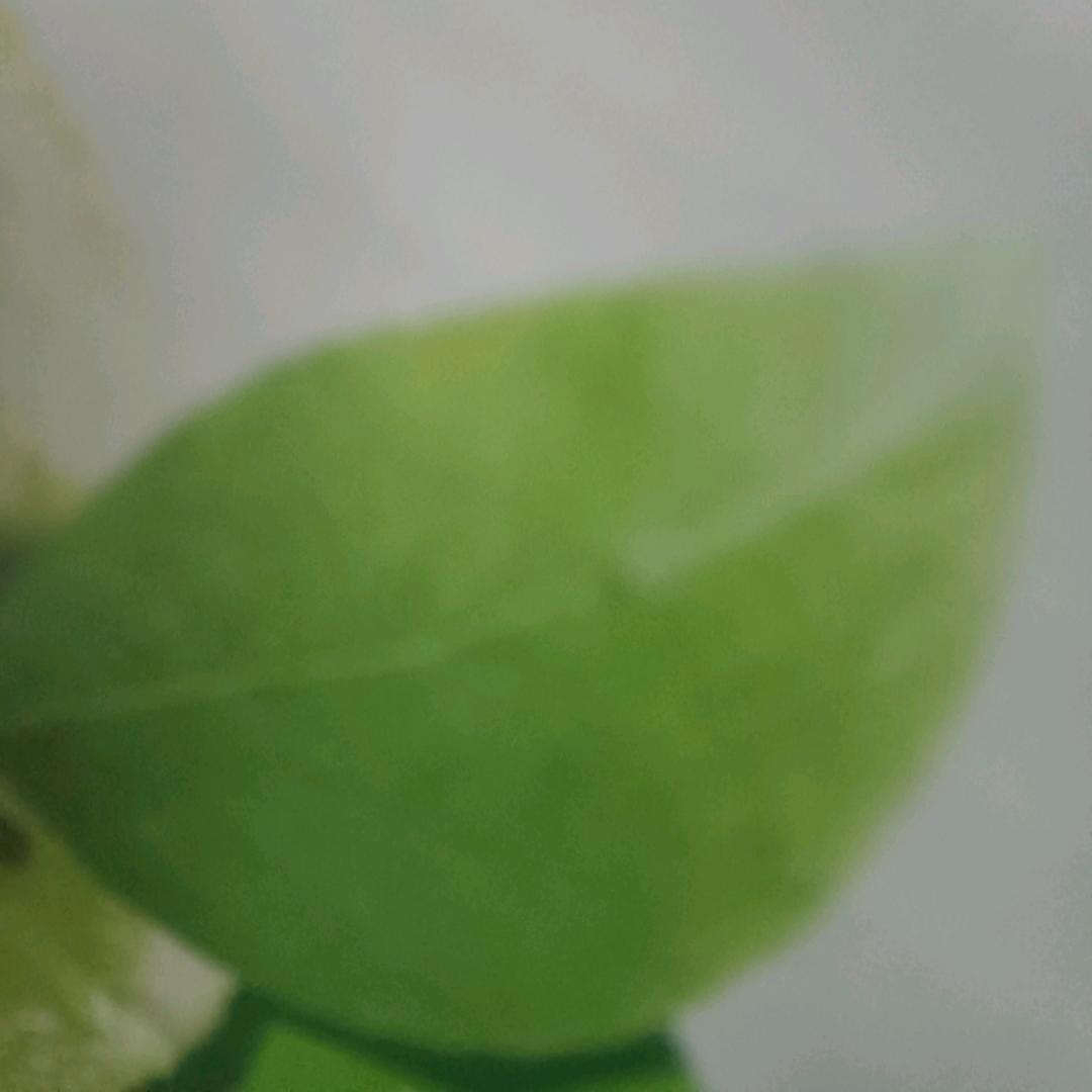 无限时间