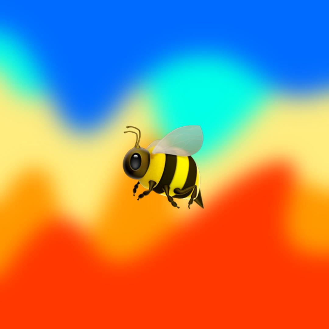 微波迈炫蜂🐝