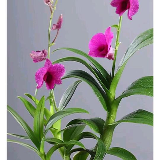 雨后见彩虹