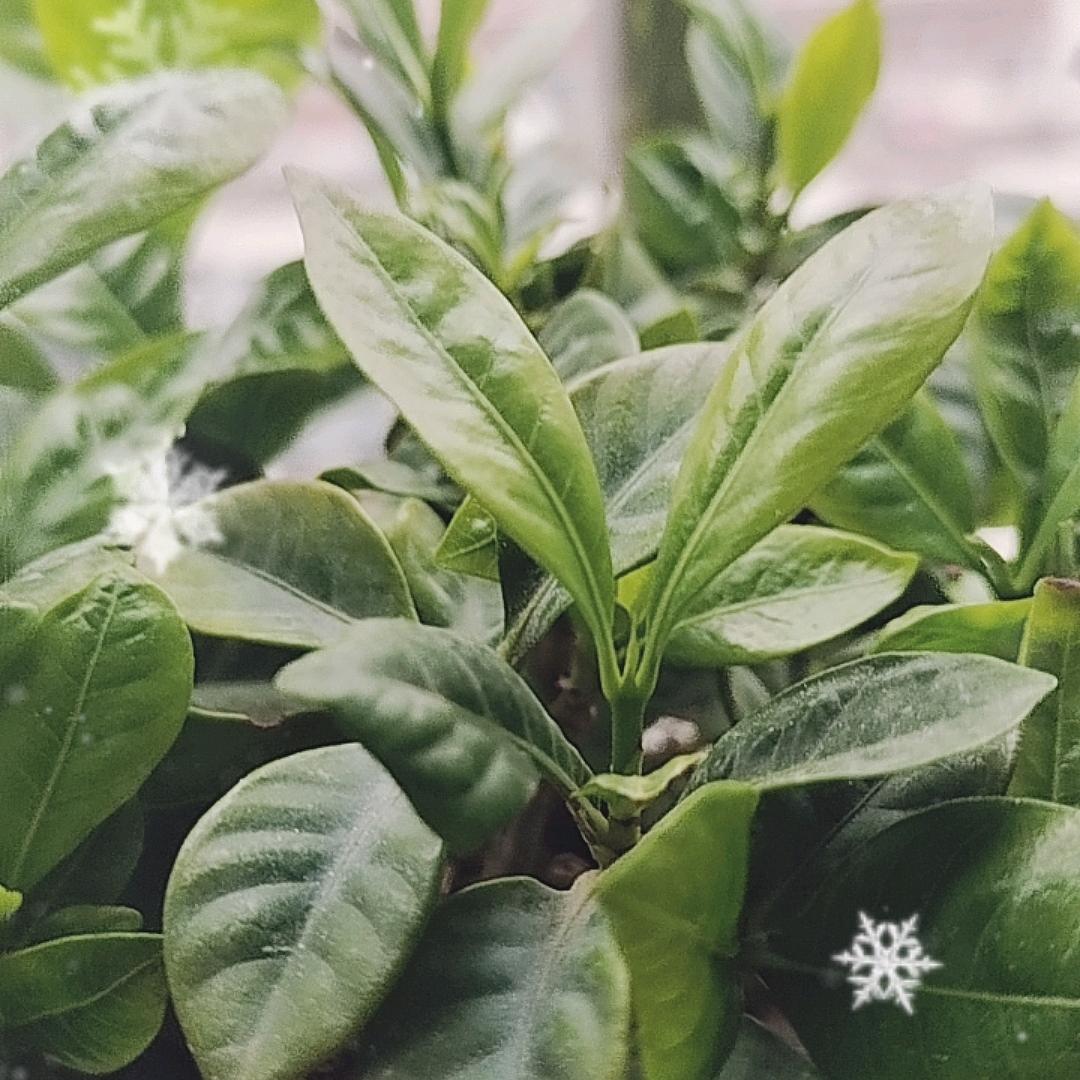 不知道取什么名