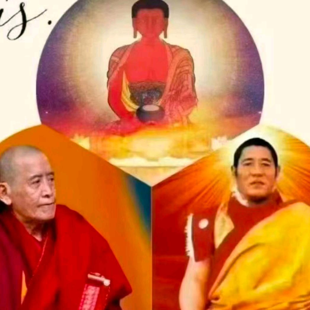 玛多县