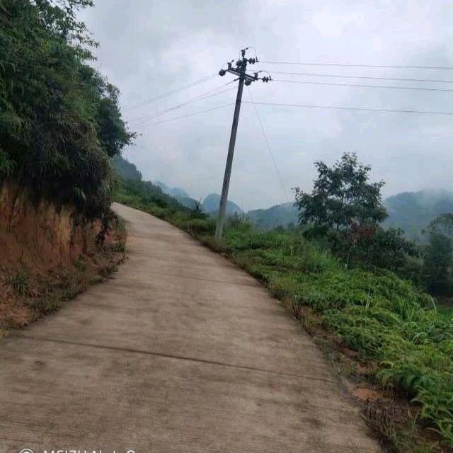 塔塔 燕宝